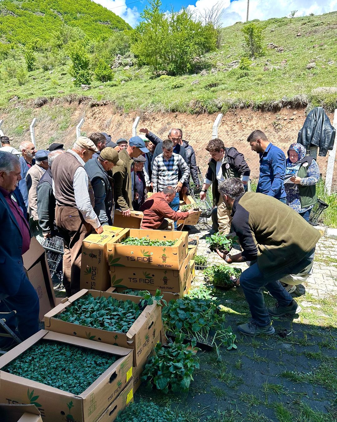 Posof İlçesi Sebze Üretiminin Geliştirilmesi Projesi